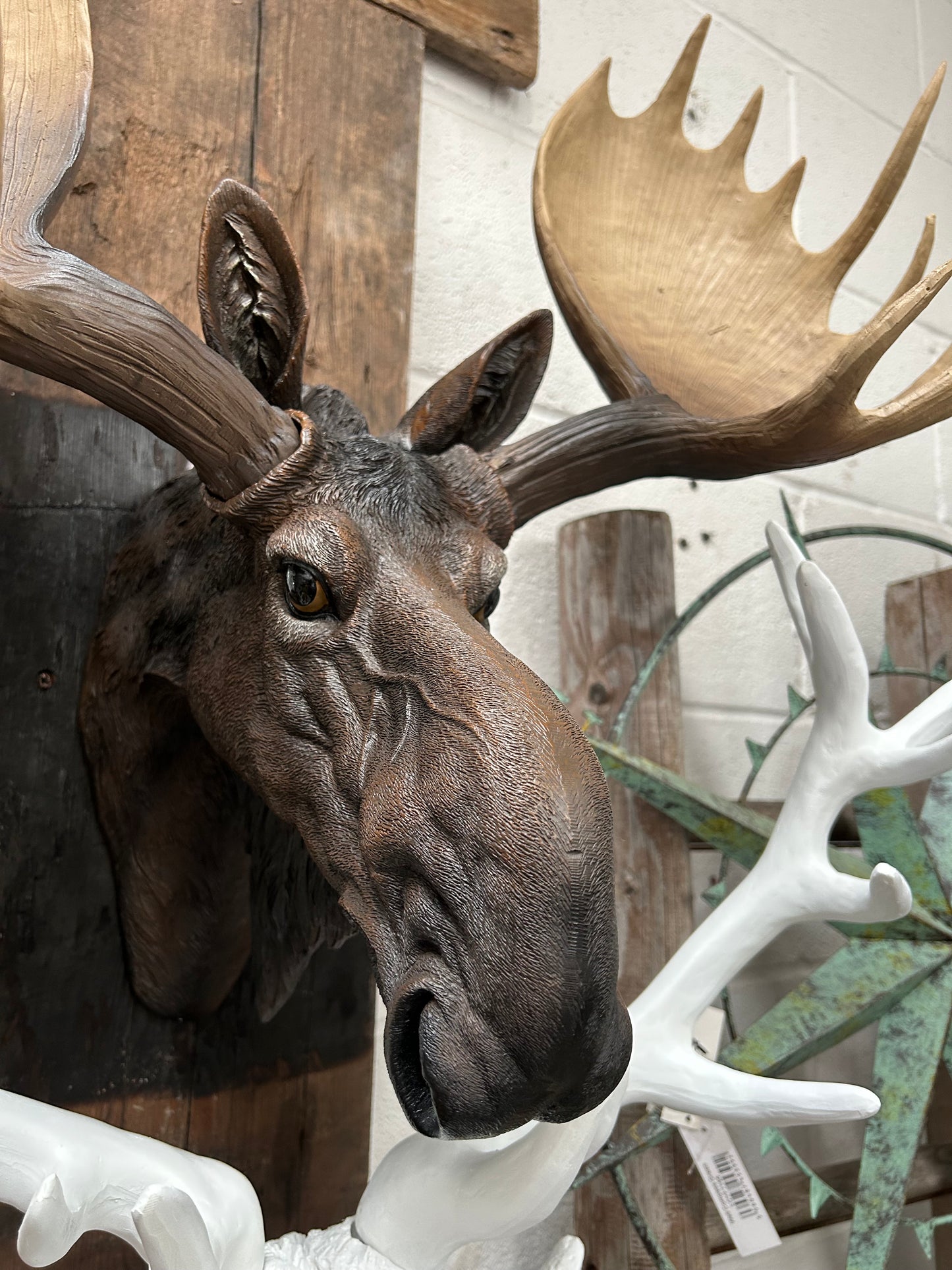 Realistic Moose Wall Mount – Exquisite Rustic Wall Head Decoration