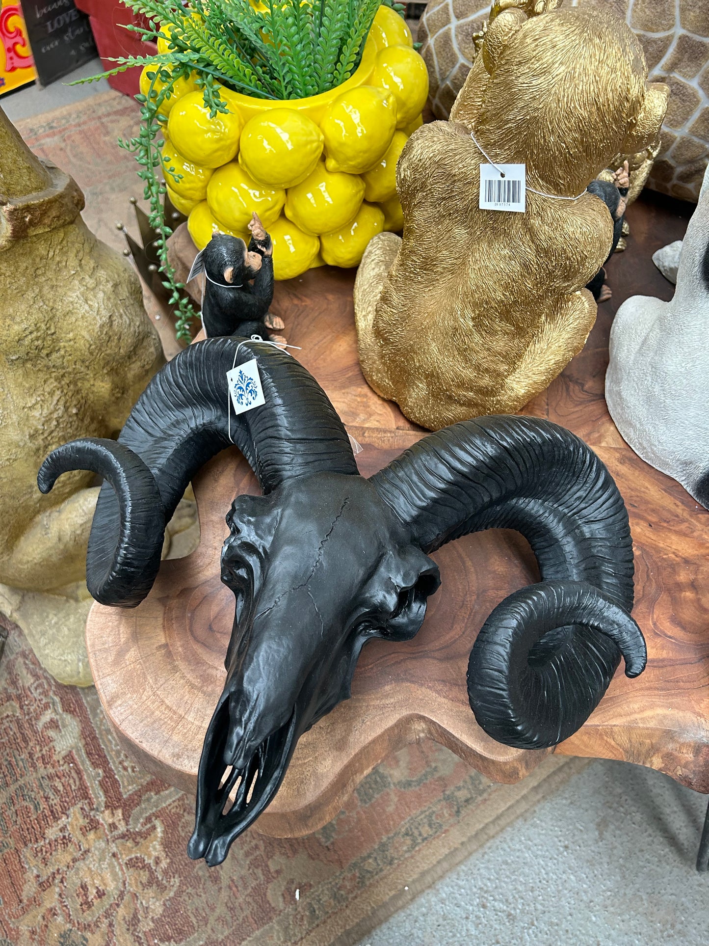 Matt Black Ram Skull Wall Head - Stylish Resin Wall Decor | Sign of the times Stoke