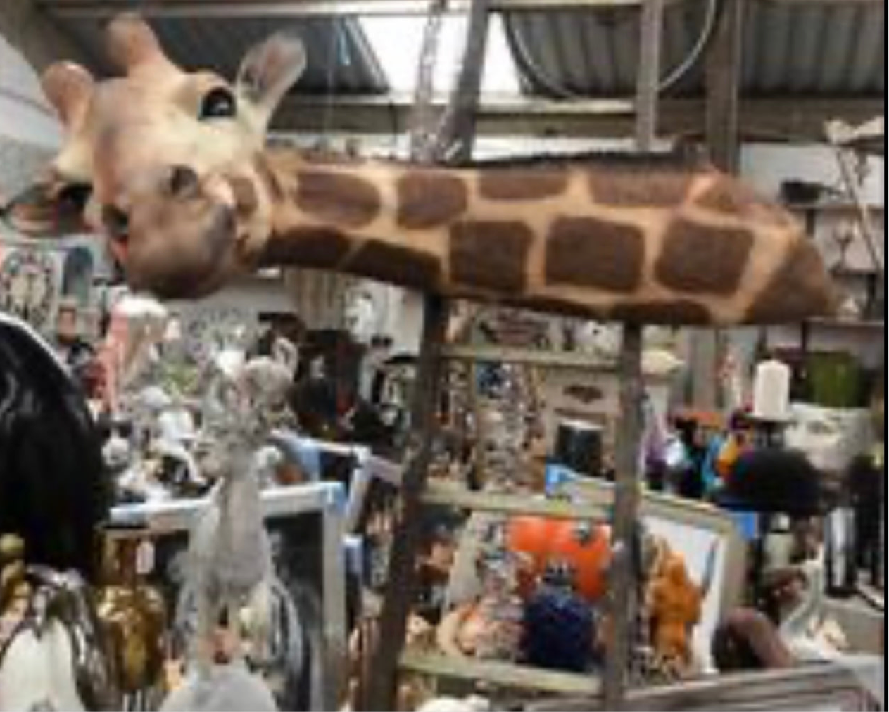 Large Giraffe Wall Mount - Versatile Resin Giraffe Sculpture