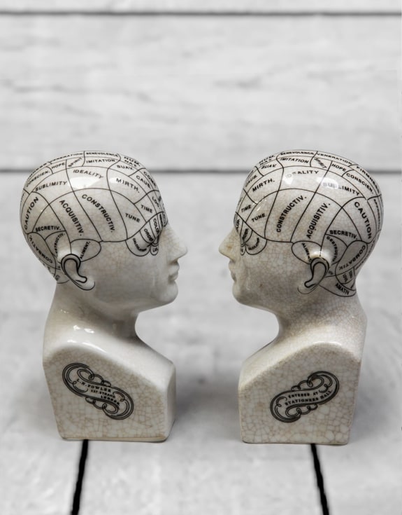 Antiques ceramic phrenology head bookends/ornaments
