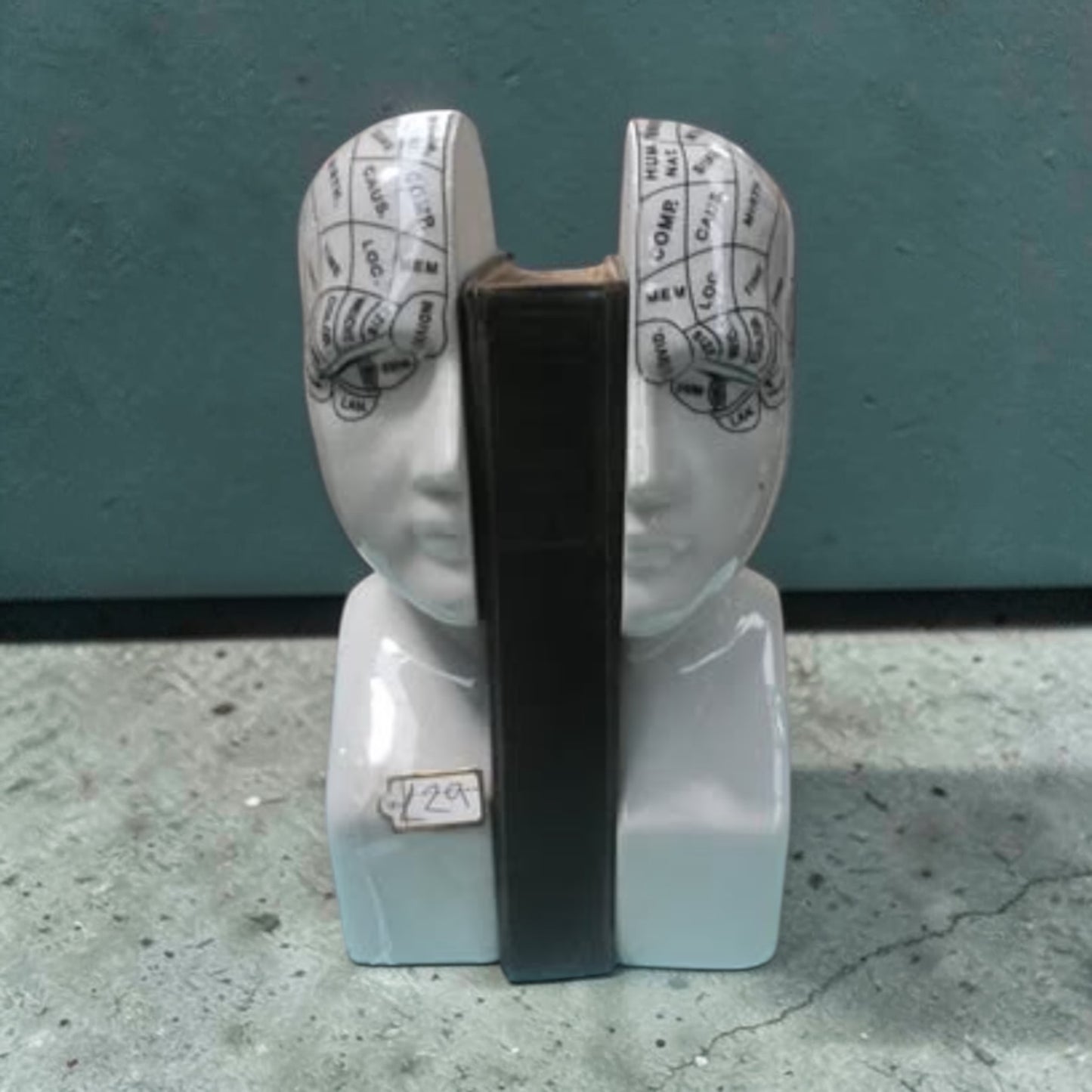 Antiqued ceramic phrenology head bookends/ornaments