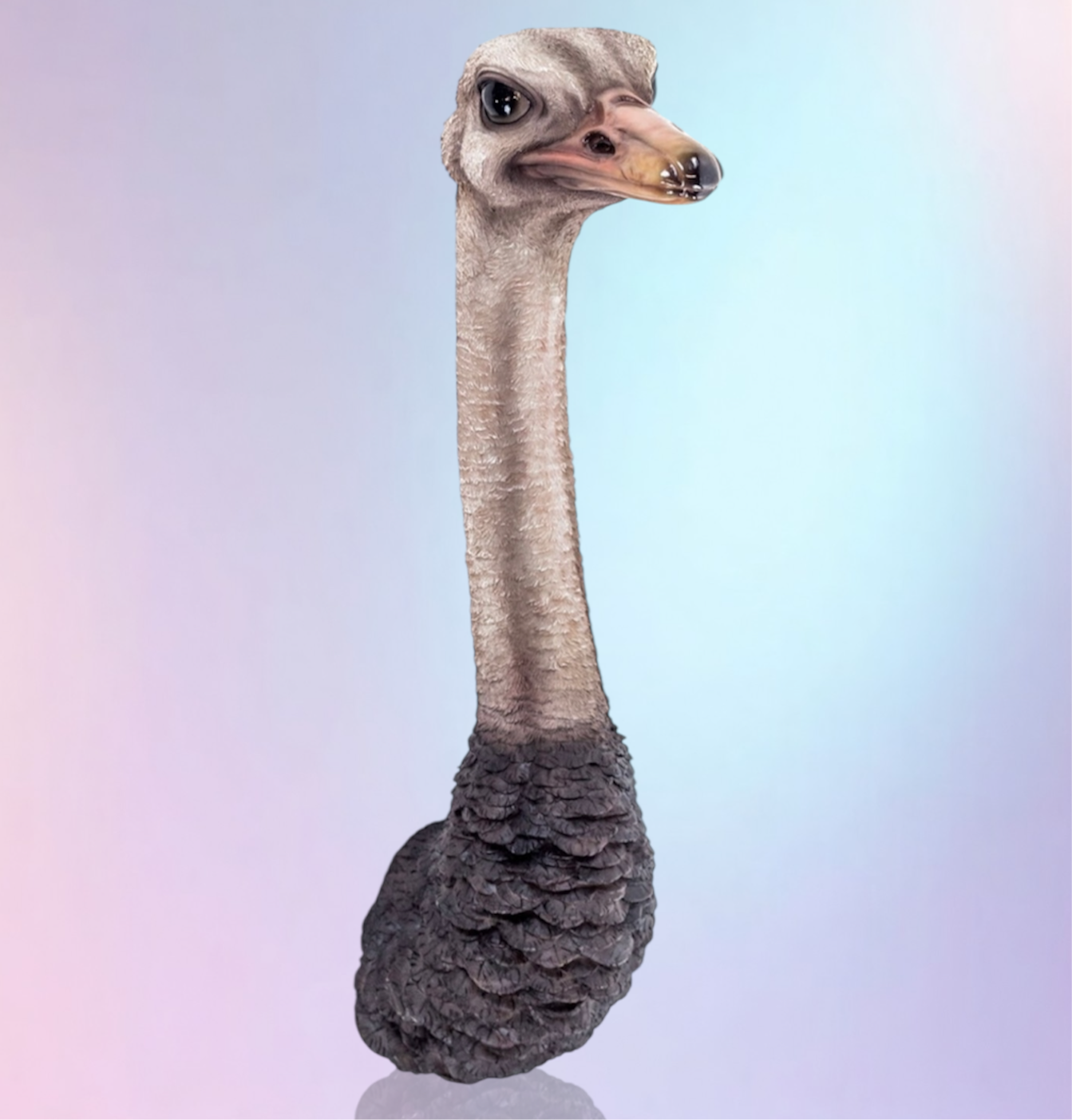 Stunning Ostrich Wall Mount – Realistic Resin Art