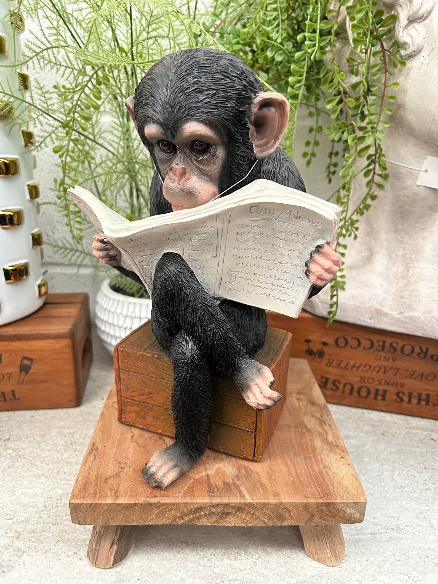 Monkey Reading the News - Charming Resin Figurine