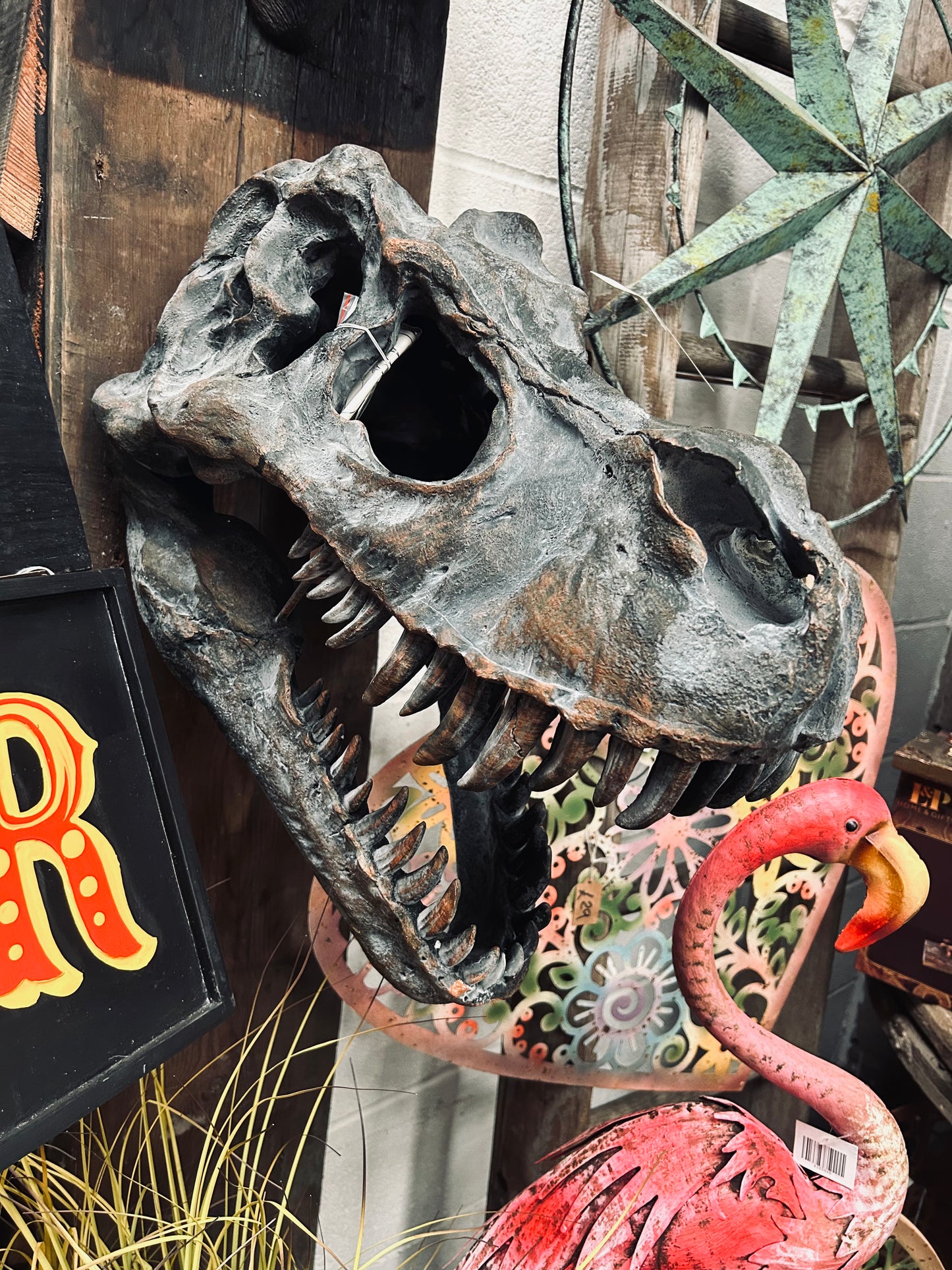 Extra Large T-Rex Dinosaur Head Wall Mount - Majestic Prehistoric Decor