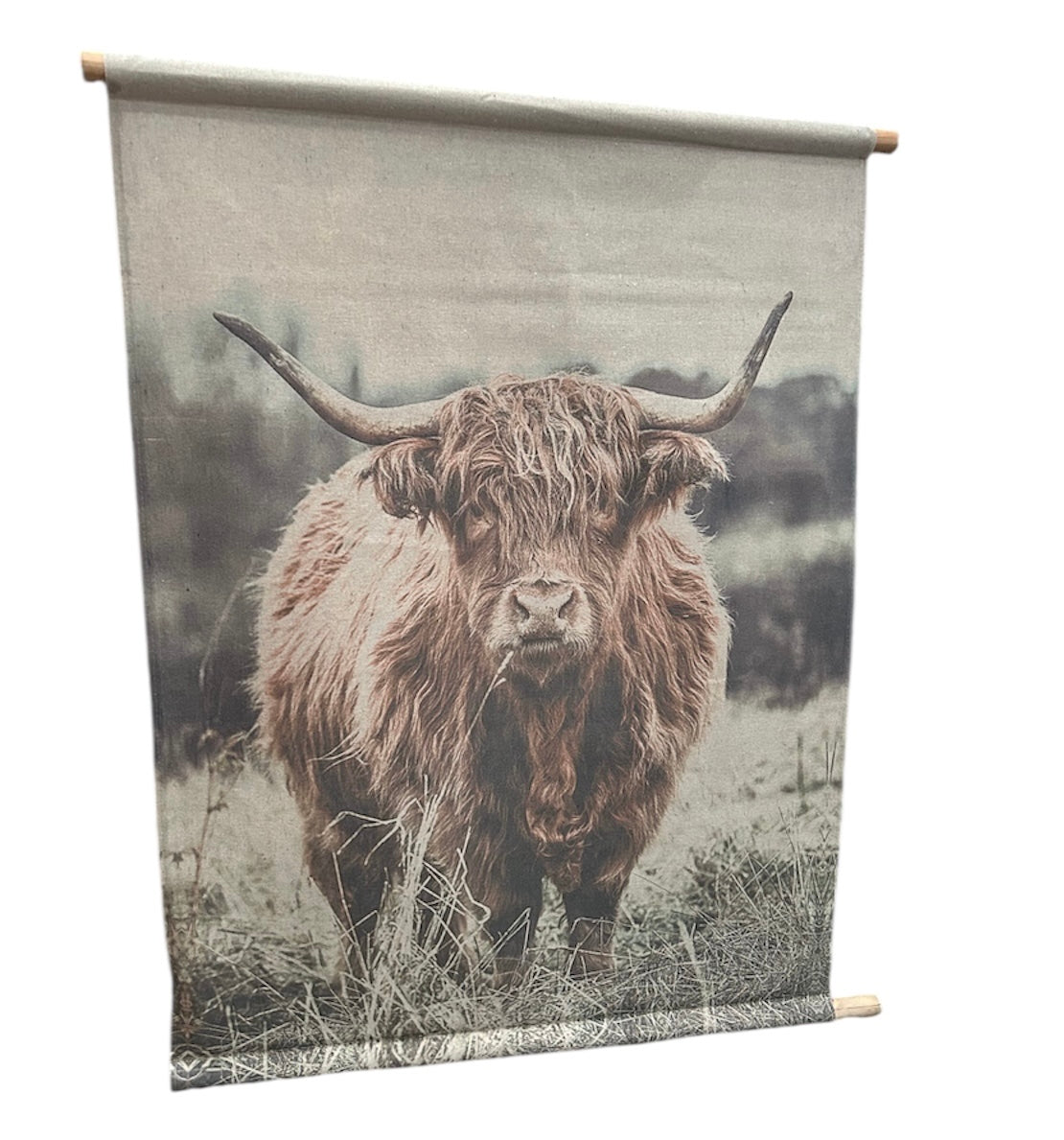 Highland Cow Canvas Wall Art - Rustic Farmhouse Hanging Décor