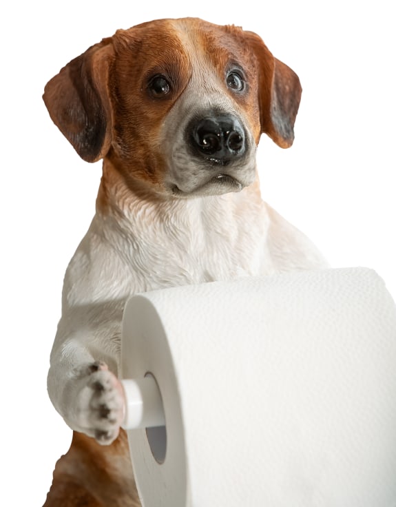 Helpful Hound Toilet Roll Holder - Adorable Resin Dog Design | Sign of the times Stoke