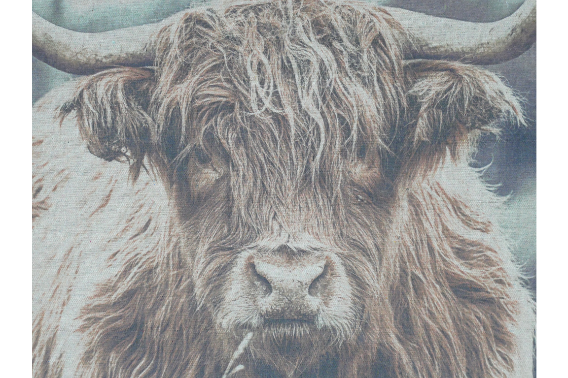Highland Cow Canvas Wall Art - Rustic Farmhouse Hanging Décor