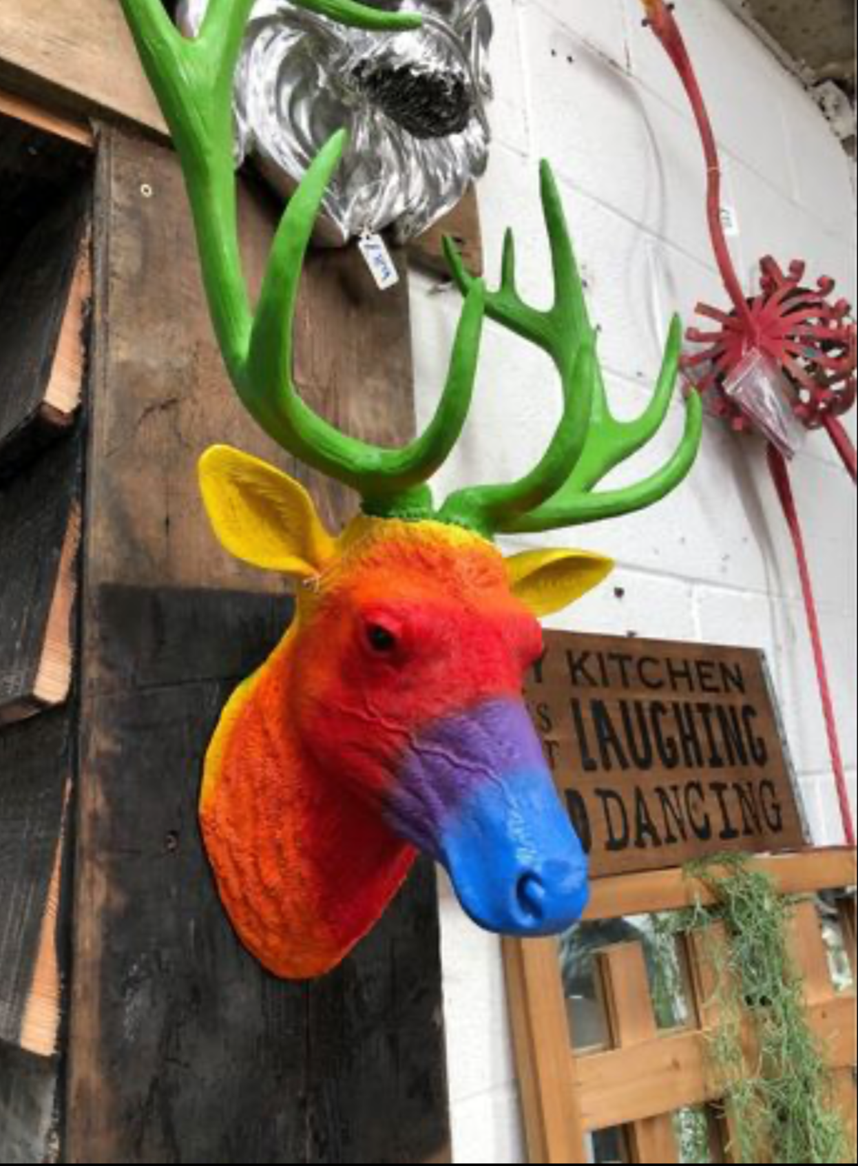 Rainbow Stags Head Wall Mount – Vibrant Resin Sculpture | Sign of the times Stoke