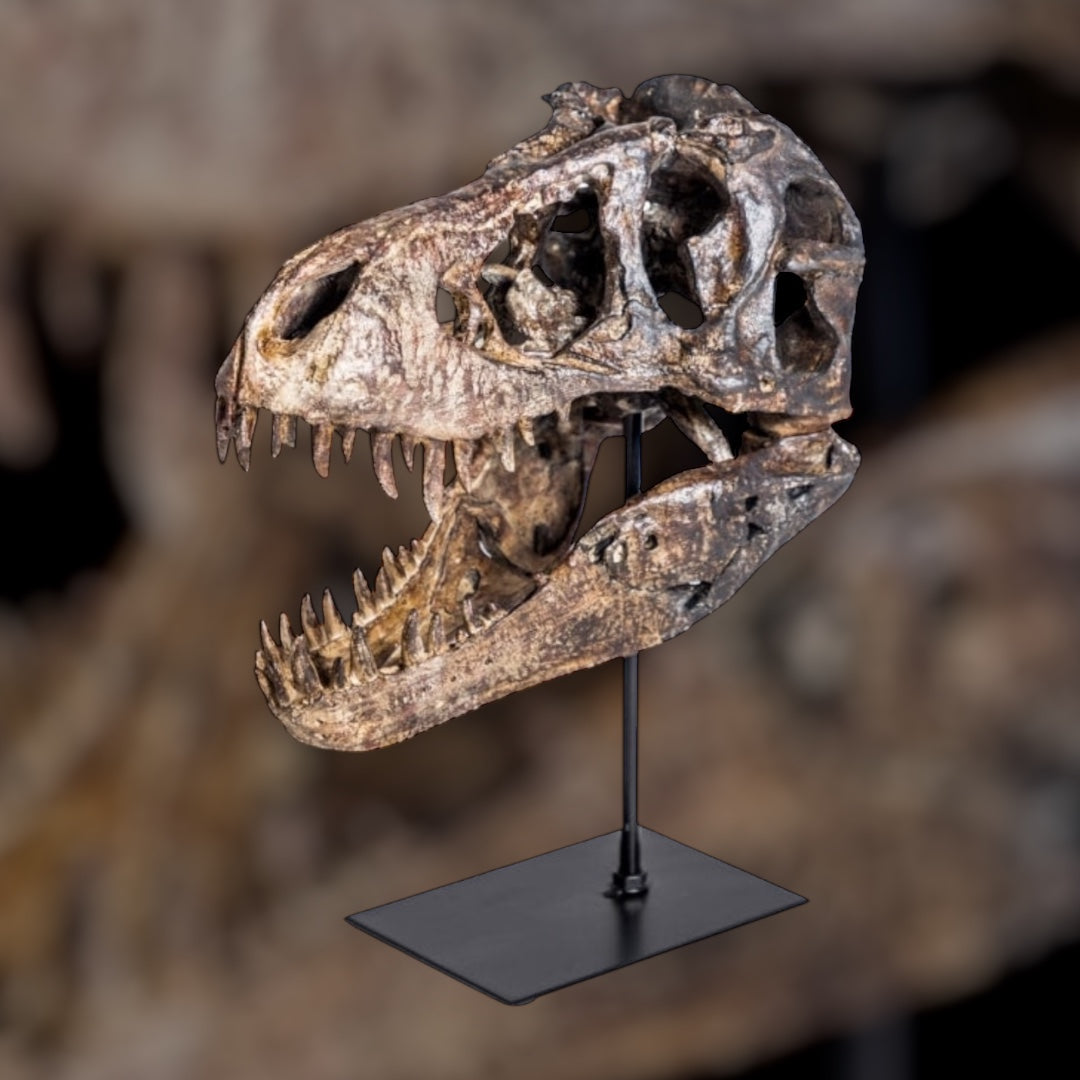 T-Rex Dinosaur Head Sculpture on Stand – Striking Prehistoric Décor