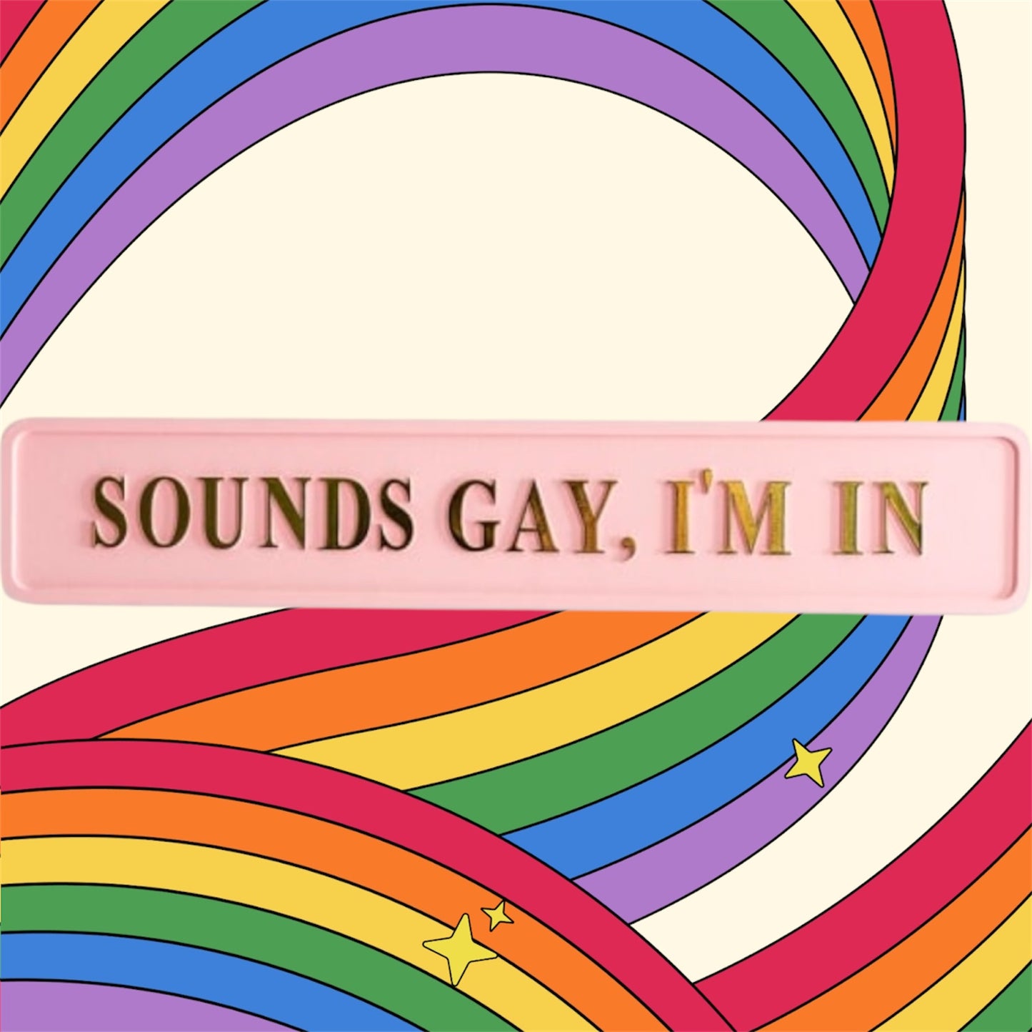 "Sounds Gay, I'm In" Sign - Pink and Gold MDF Wall Art