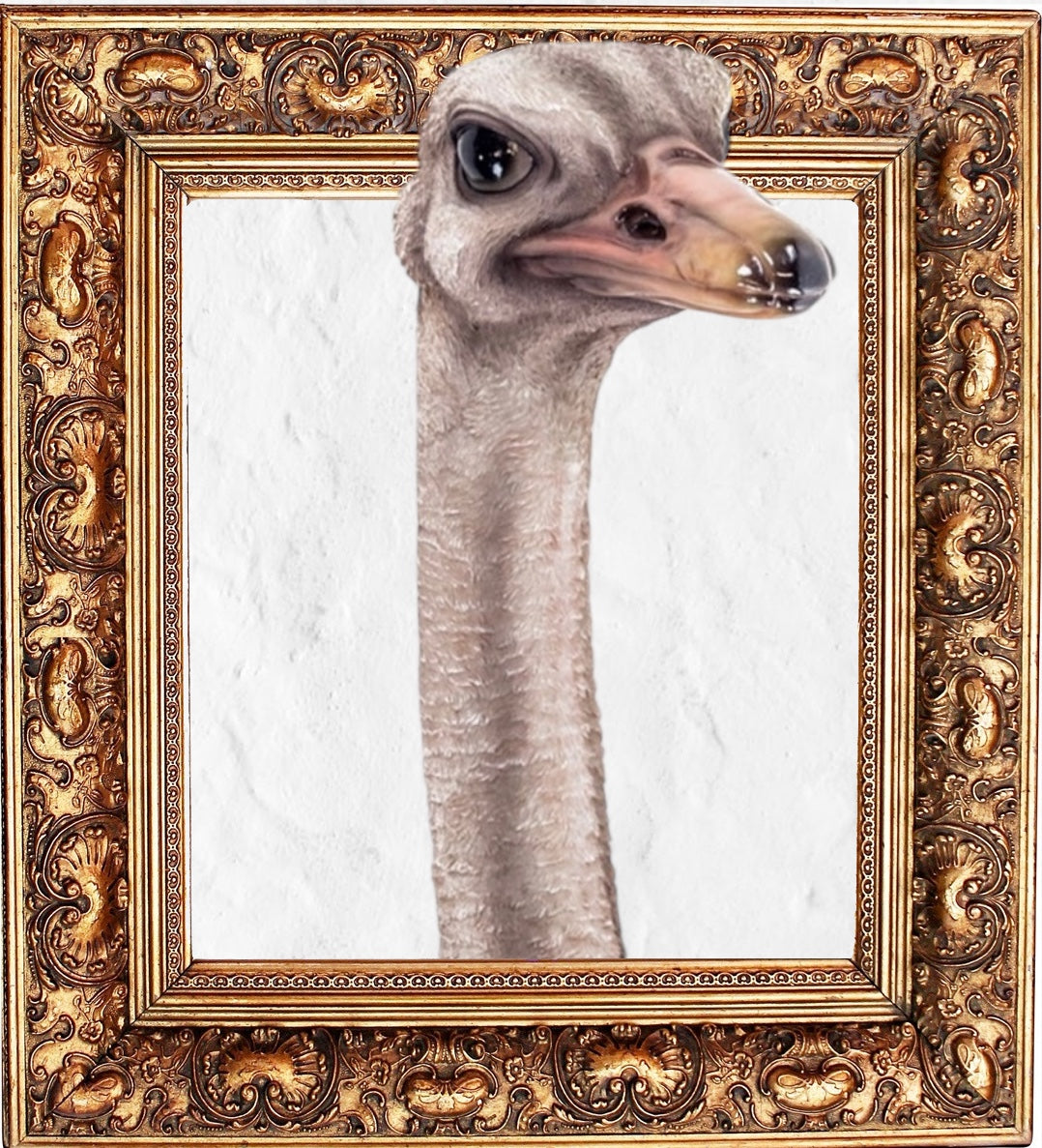 Stunning Ostrich Wall Mount – Realistic Resin Art