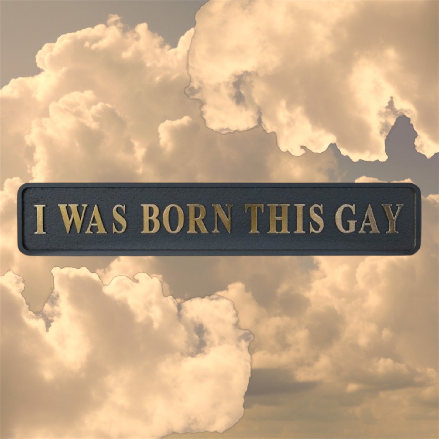 “I WAS BORN THIS GAY” Sign – Bold Black & Gold Pride Wall Art