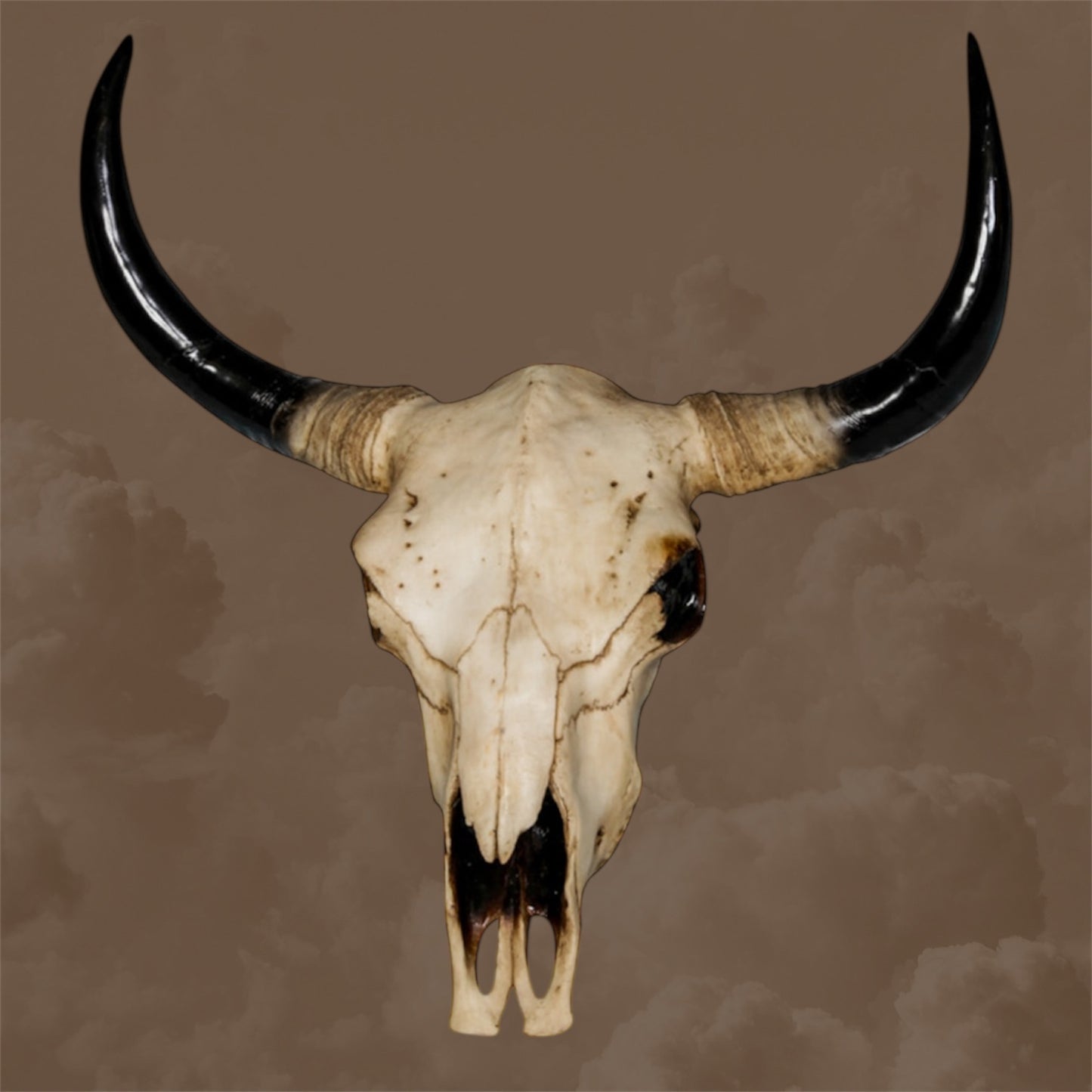 Extra Large Bison Wall Head – Majestic Resin Skull Wall Mount
