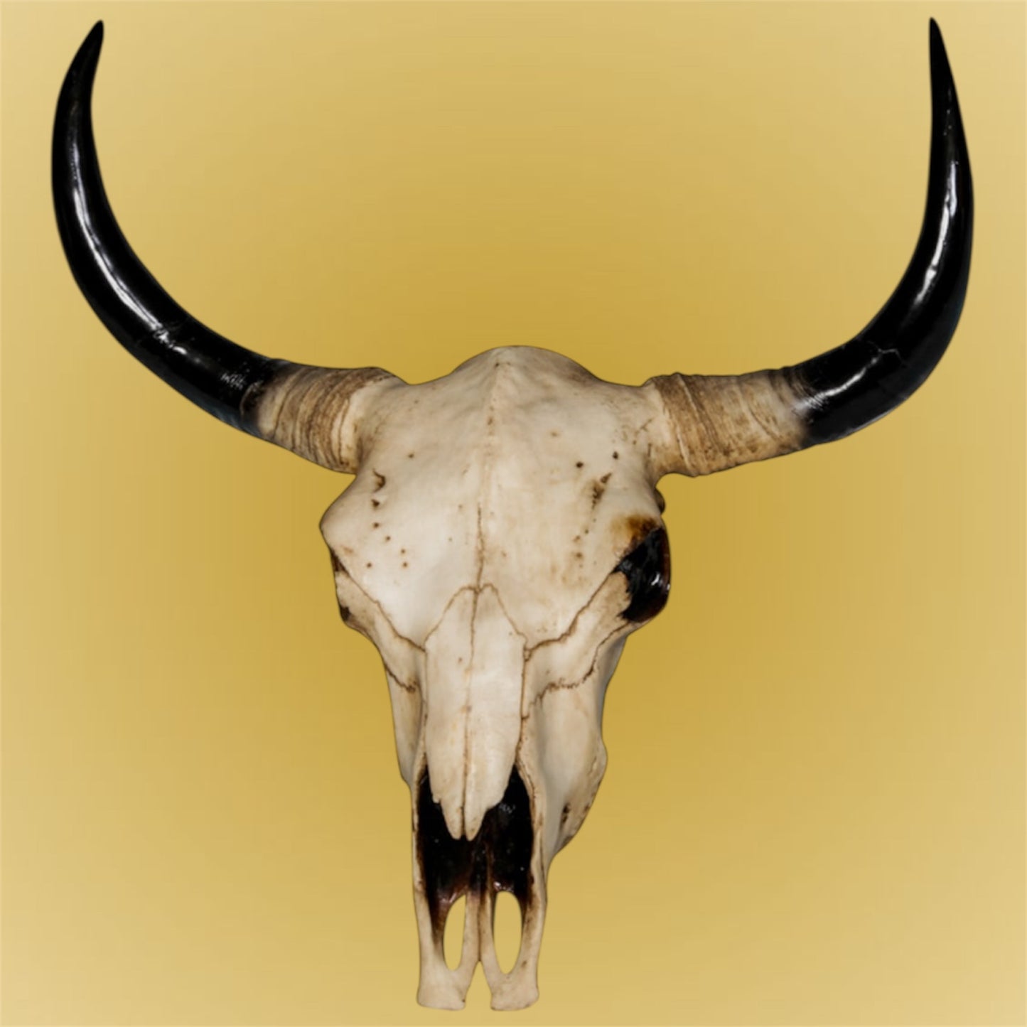 Extra Large Bison Wall Head – Majestic Resin Skull Wall Mount