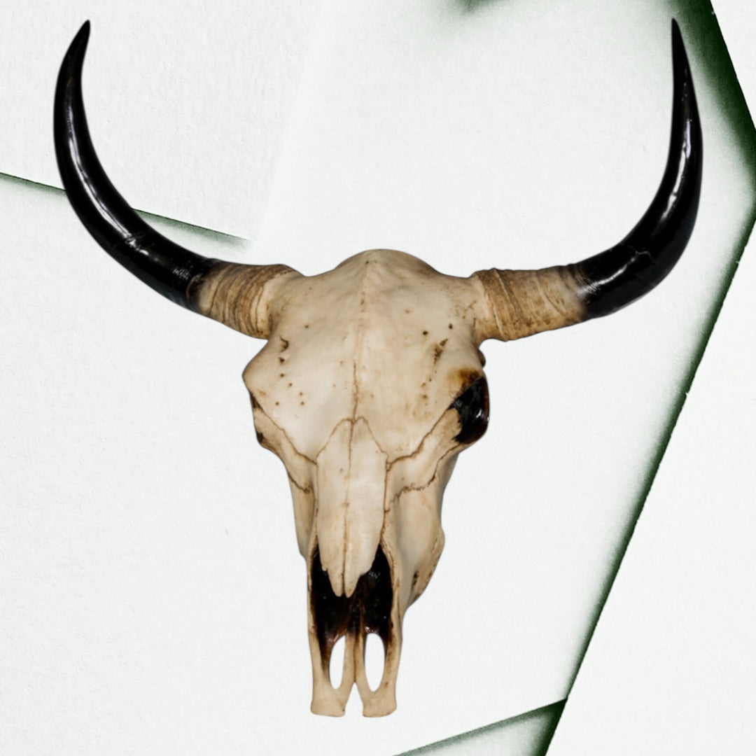 Extra Large Bison Wall Head – Majestic Resin Skull Wall Mount