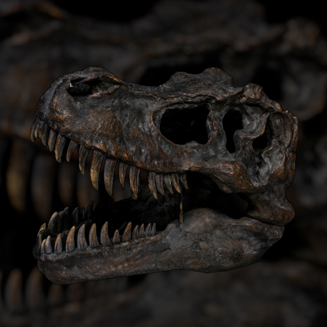 Extra Large T-Rex Dinosaur Head Wall Mount - Majestic Prehistoric Decor