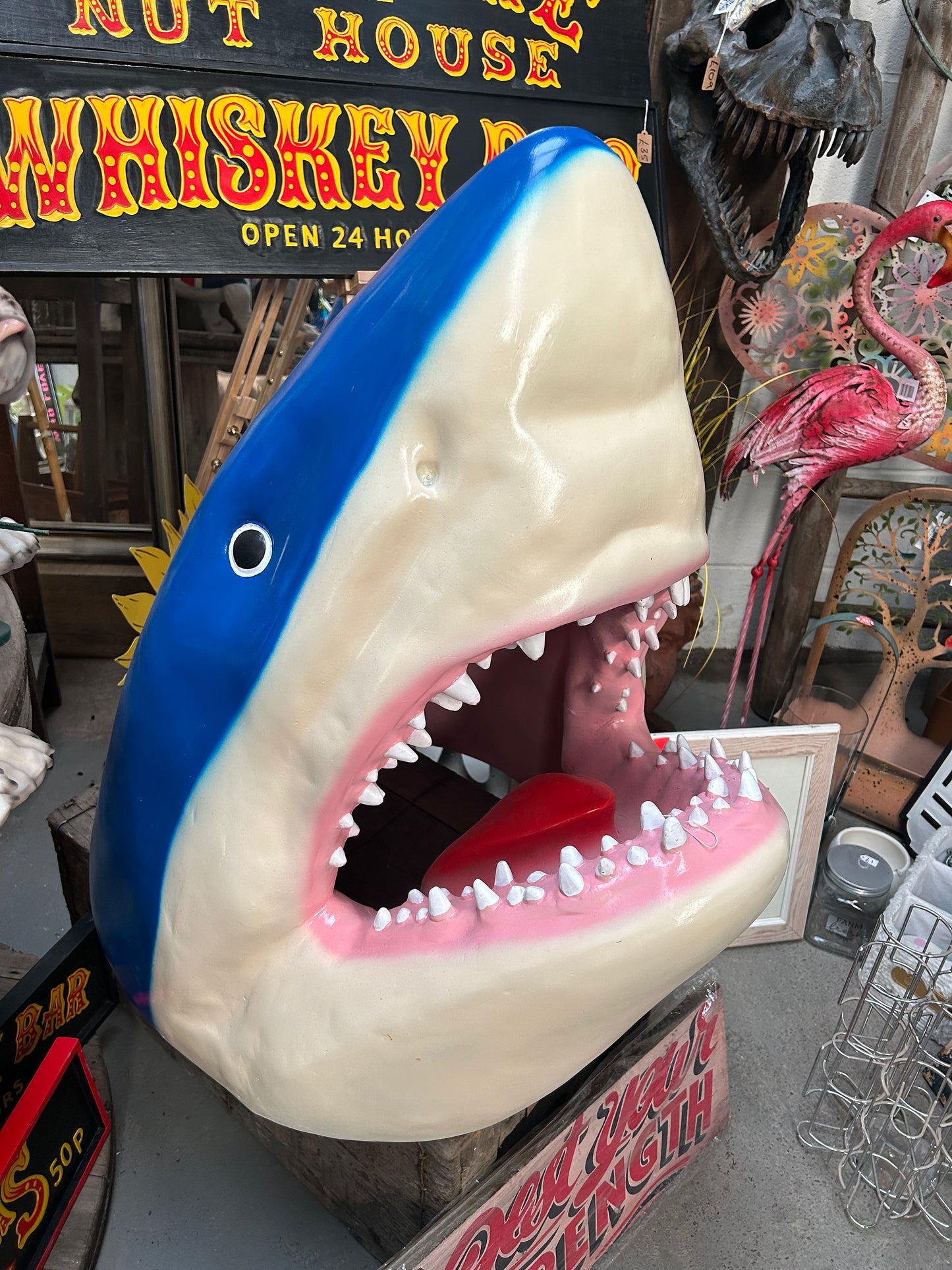 Incredible Shark Resin Wall Mount - Versatile Home Décor