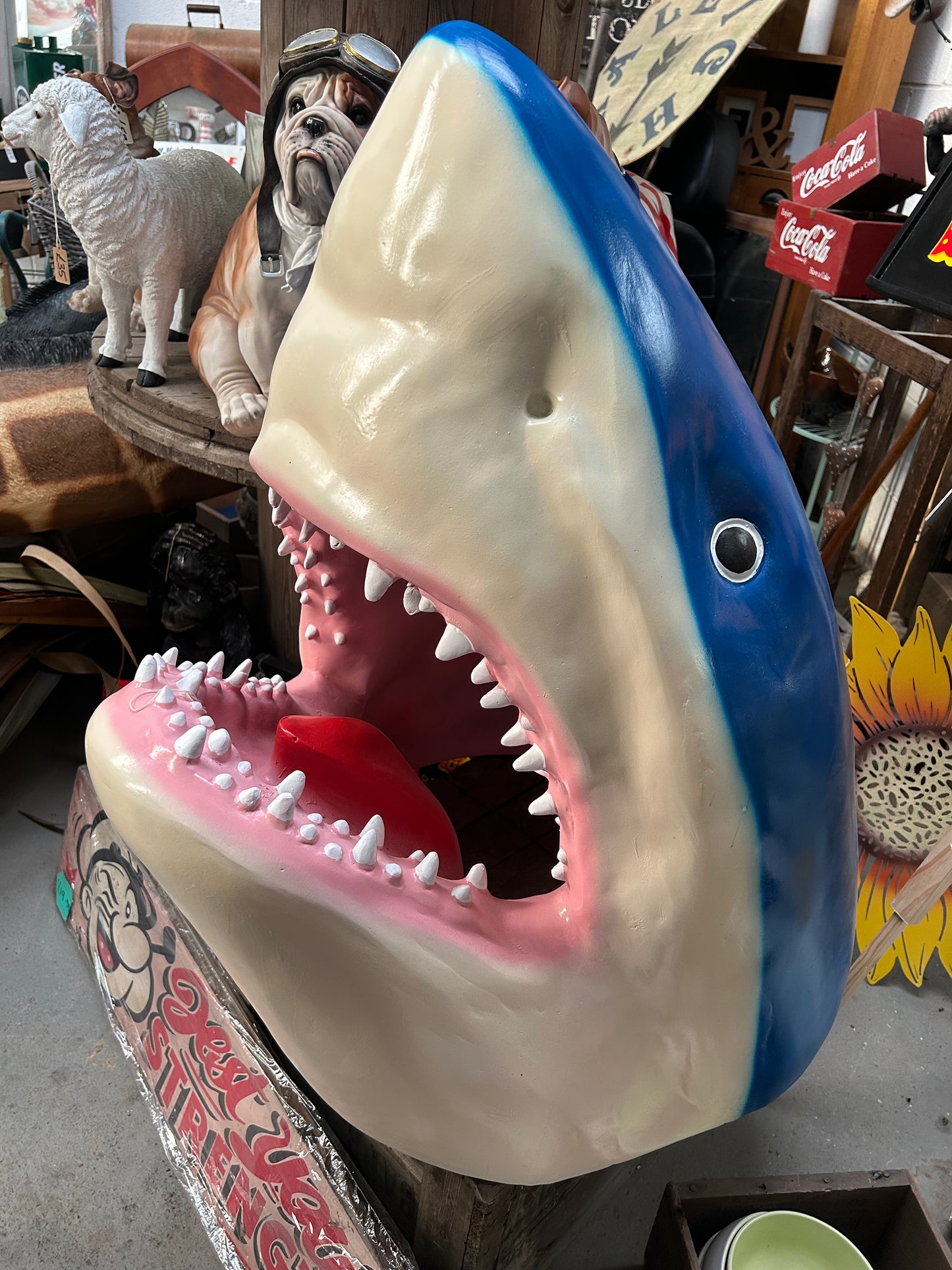 Incredible Shark Resin Wall Mount - Versatile Home Décor