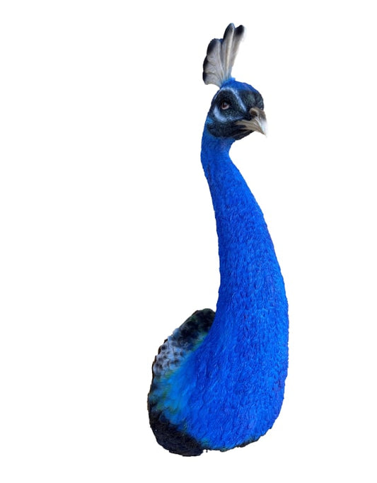 Blue Peacock Head Wall Figure - Bold Resin Wall Art | Sign of the times Stoke