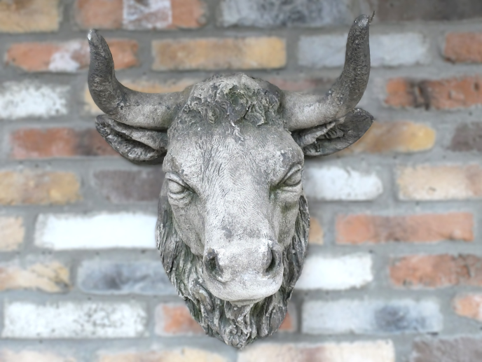 Cow Head Wall Mount – Stone Effect Animal Sculpture | Rustic Farmhouse Decor