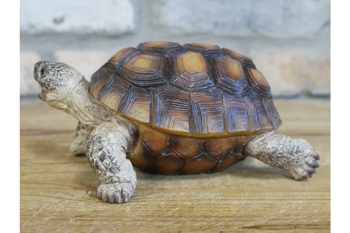 Small Tortoise Ornament | Charming Animal Decor for Home or Garden