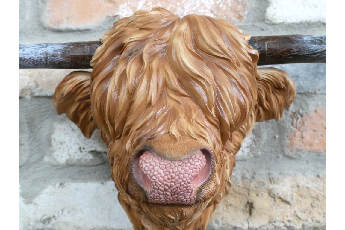 Resin Highland Cow Wall Head | Rustic Farmhouse-Style Animal Wall Decor | Sign of the times Stoke