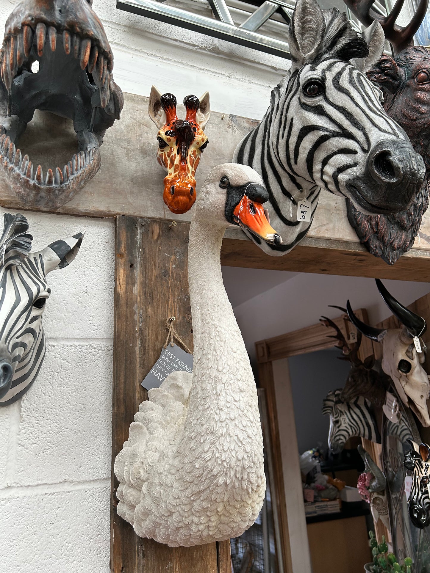 Elegant Swan Wall Mount – Realistic Resin Wall Art | Sign of the times Stoke