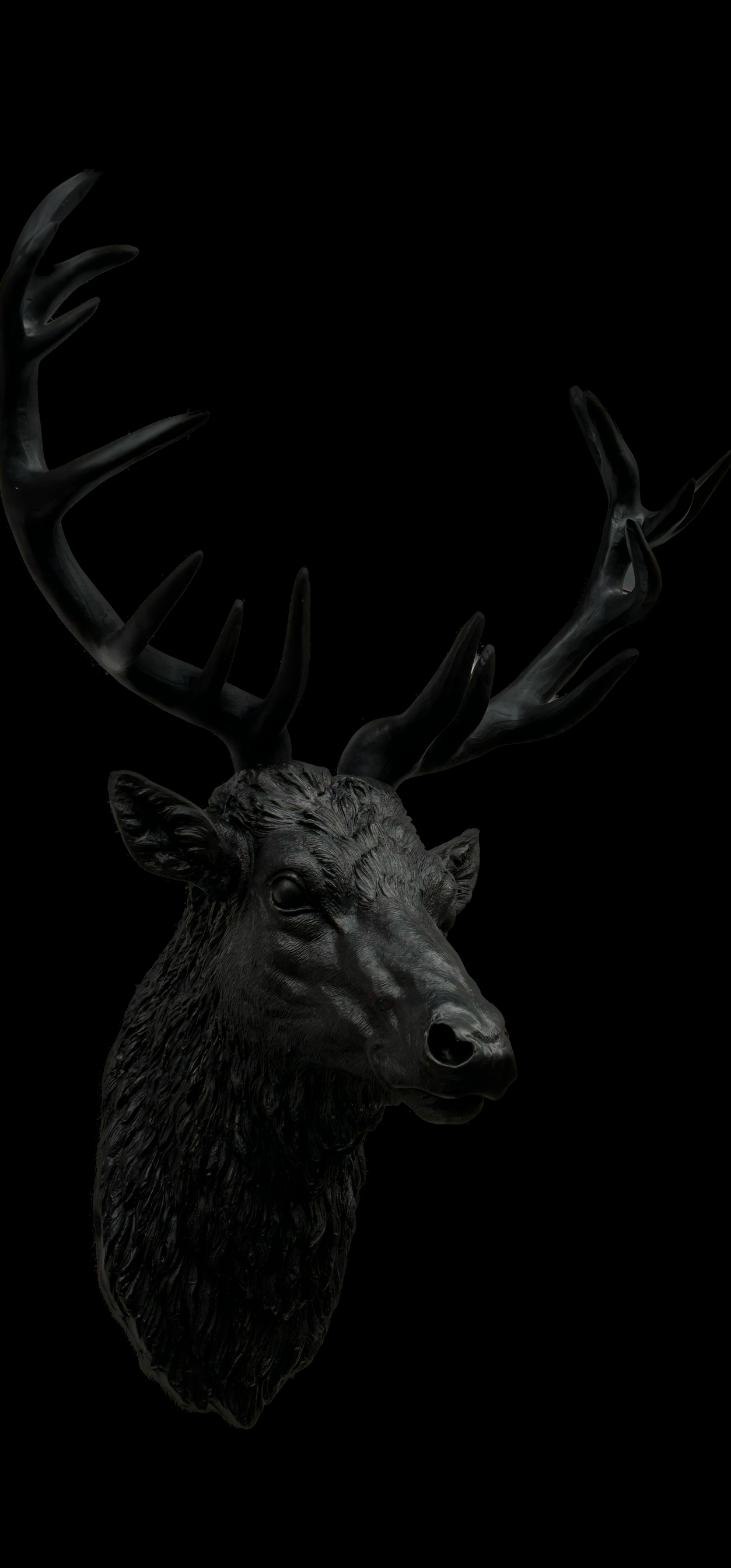Black Stag Head Wall Mount – Resin Sculpture for Bold Decor | Sign of the times Stoke