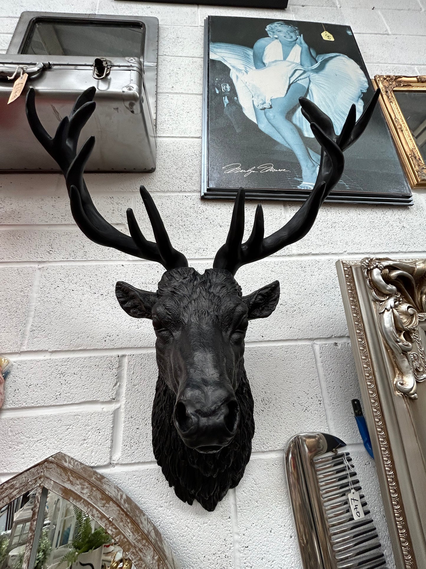 Black Stag Head Wall Mount – Resin Sculpture for Bold Decor | Sign of the times Stoke