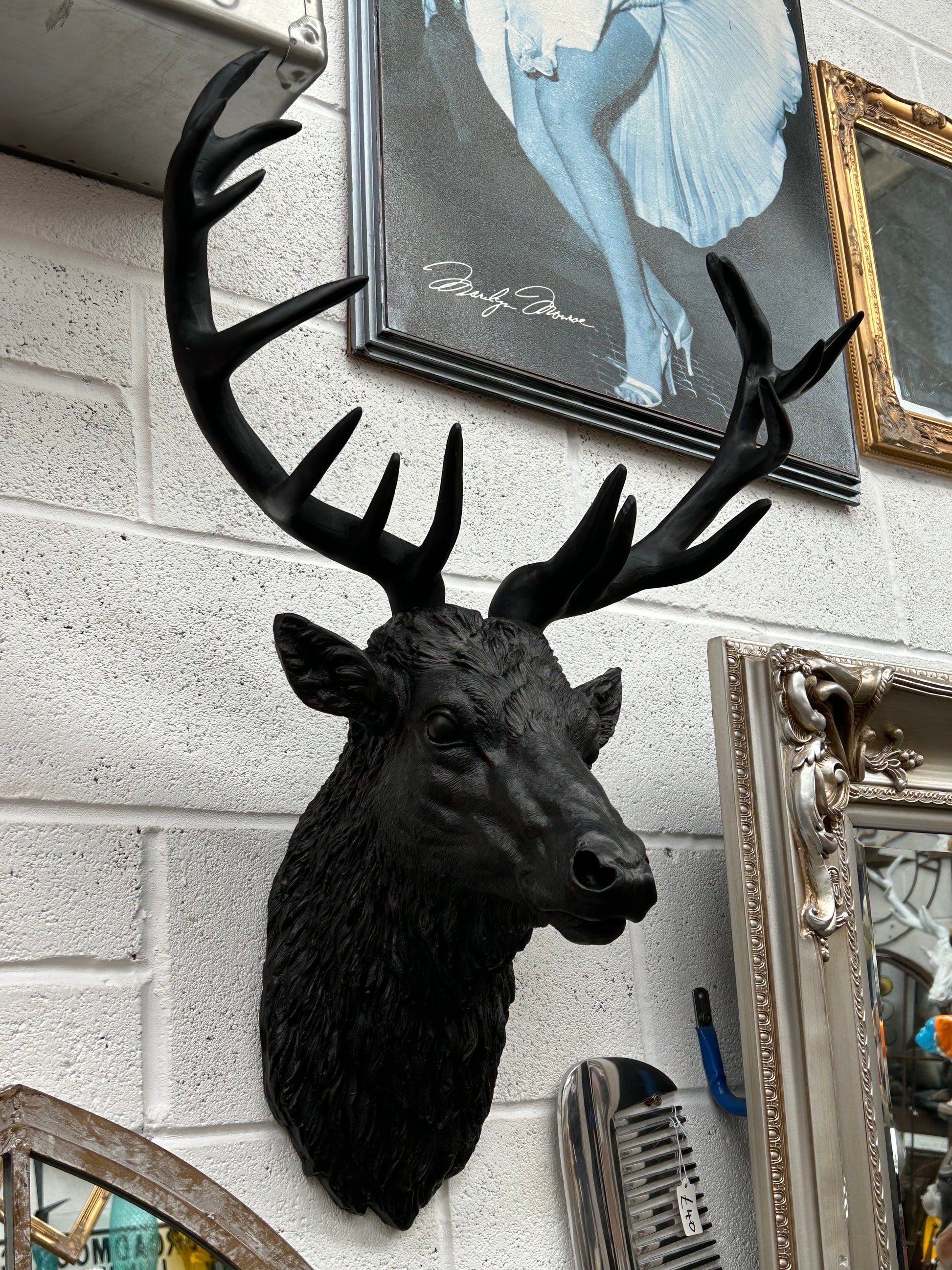 Black Stag Head Wall Mount – Resin Sculpture for Bold Decor | Sign of the times Stoke