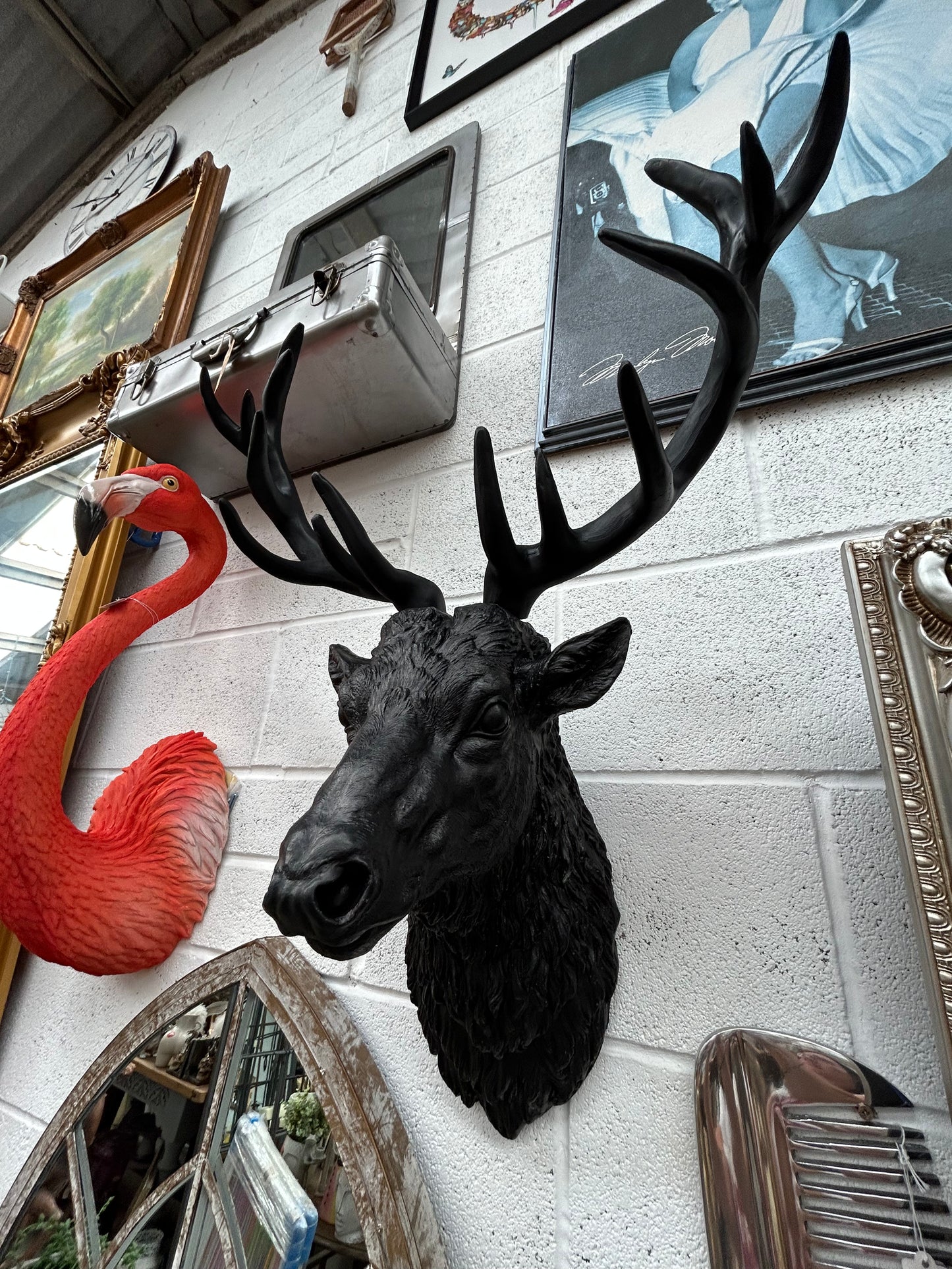 Black Stag Head Wall Mount – Resin Sculpture for Bold Decor | Sign of the times Stoke