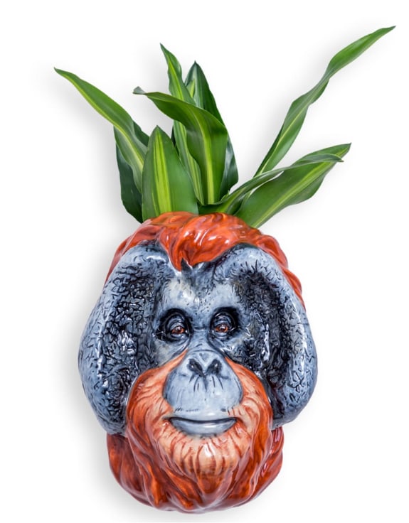 Hand Painted Ceramic Orangutan Head Wall Sconce Vase – Artistic Wall Déco