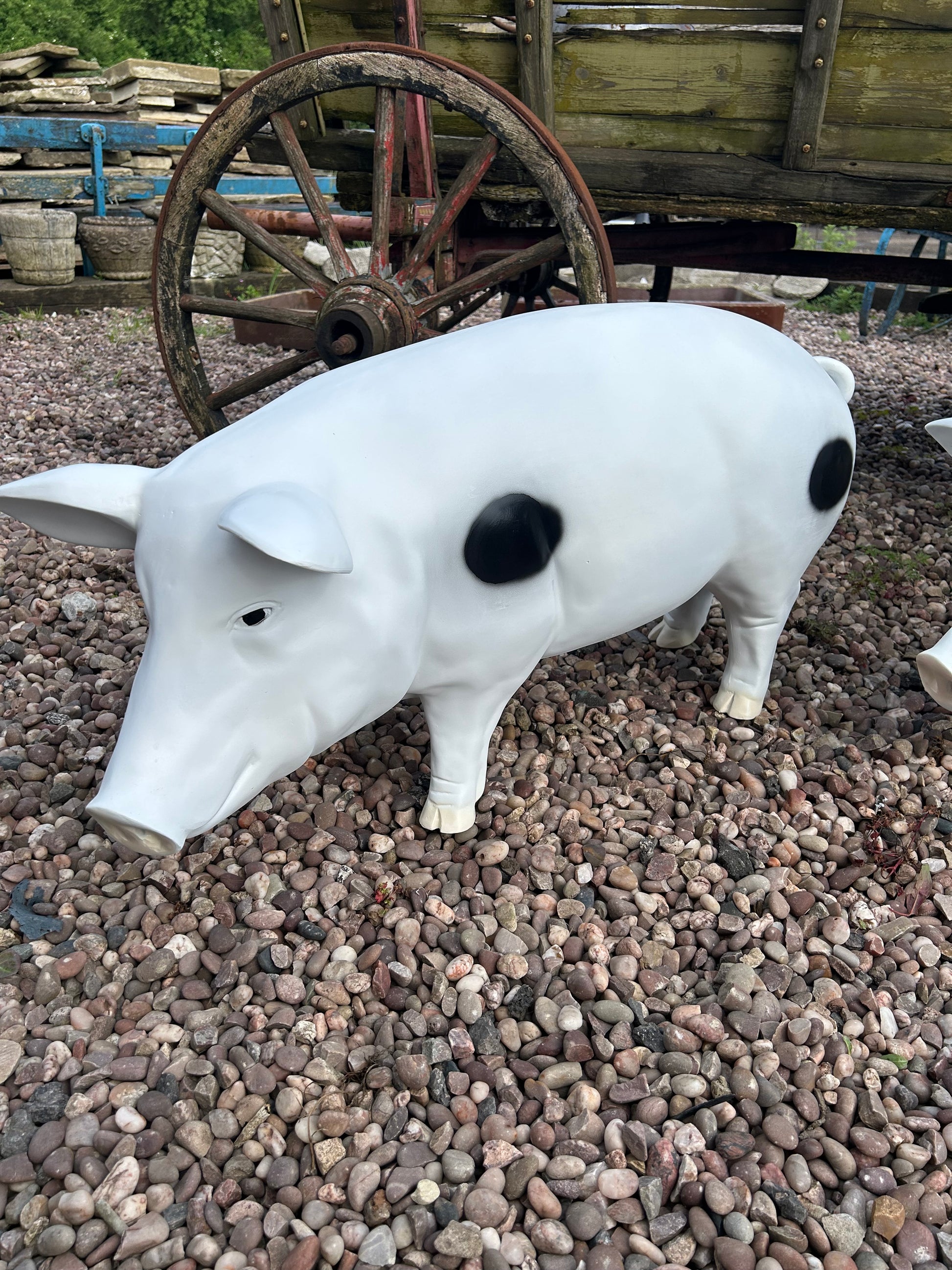 Pig Garden Sculpture - Unique Resin Pig Statue for Indoor/Outdoor Decor | Sign of the times Stoke