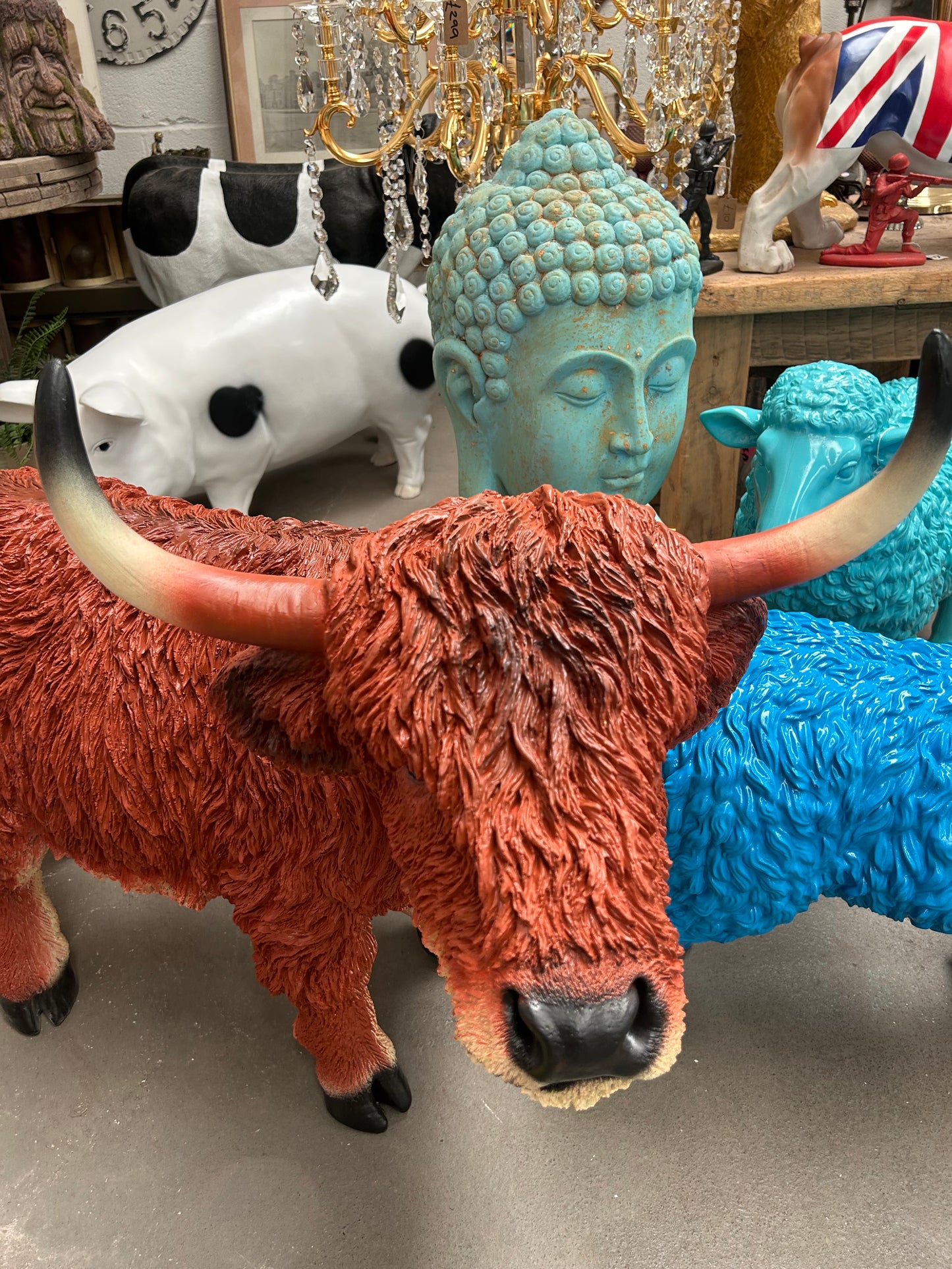 Highland Cow