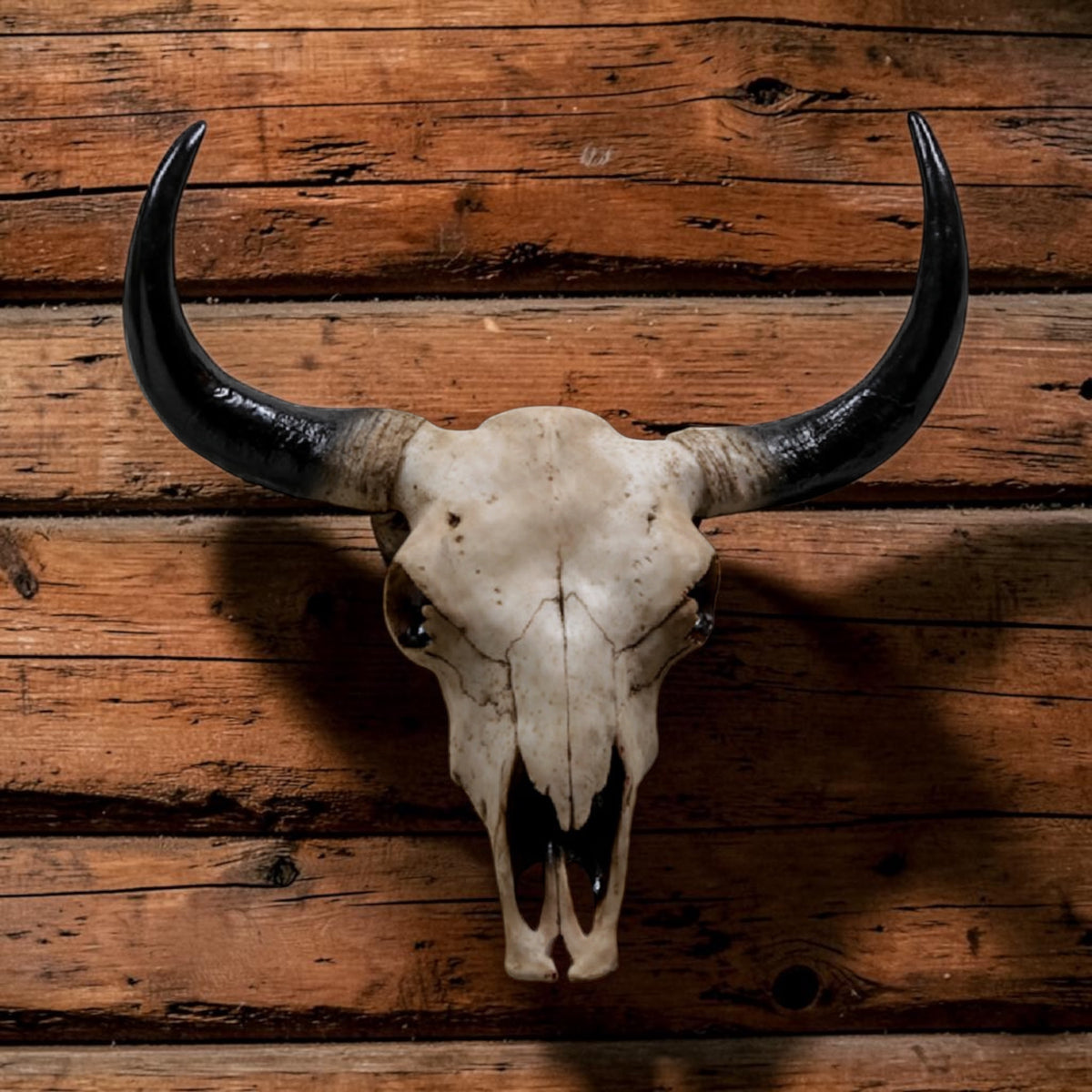 Large Bison Skull Wall Head – Stunning Wall-Mounted Bison