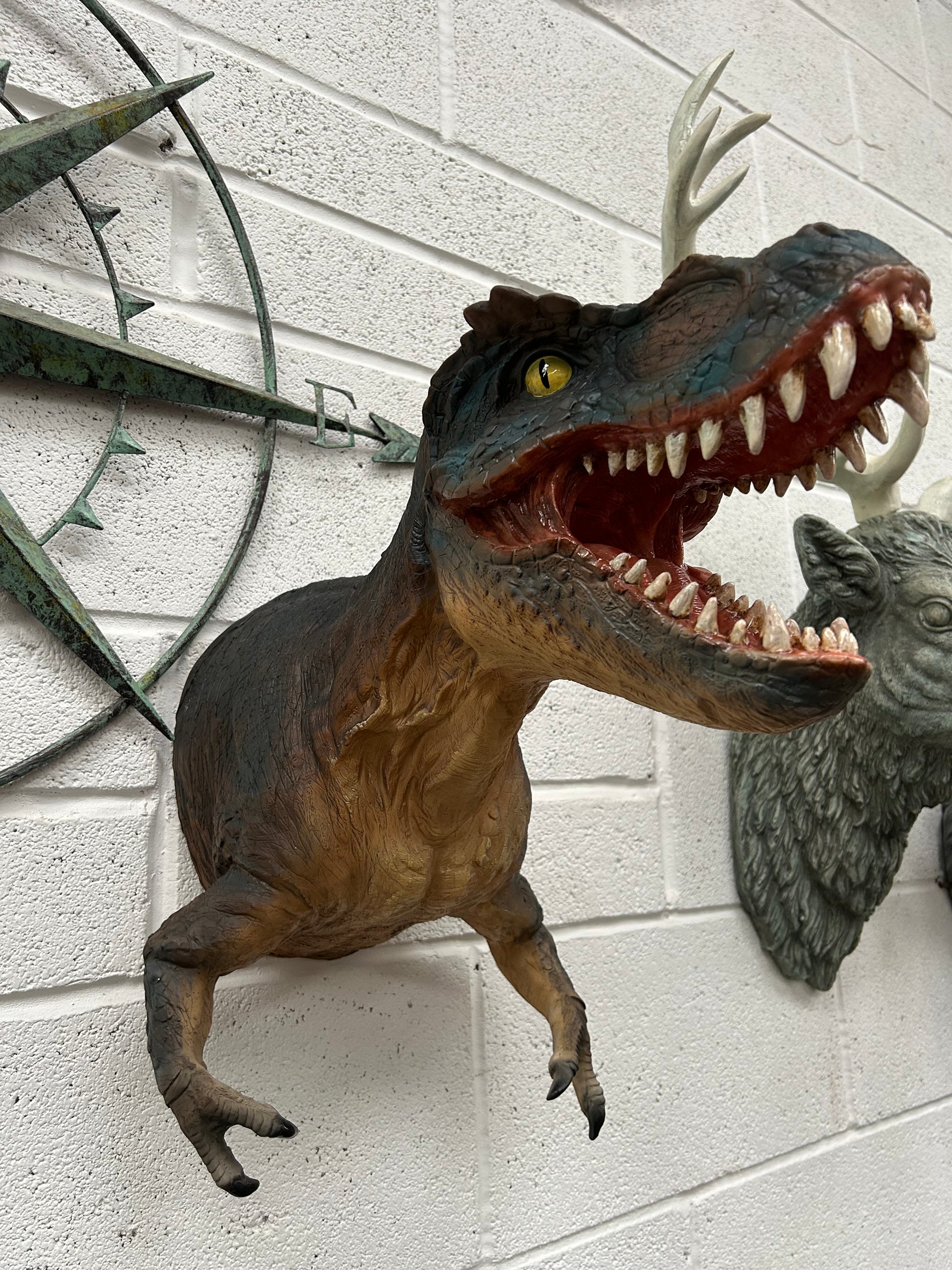 T-Rex Wall Mount – Resin Dinosaur Head with Free Shipping | Sign of the times Stoke