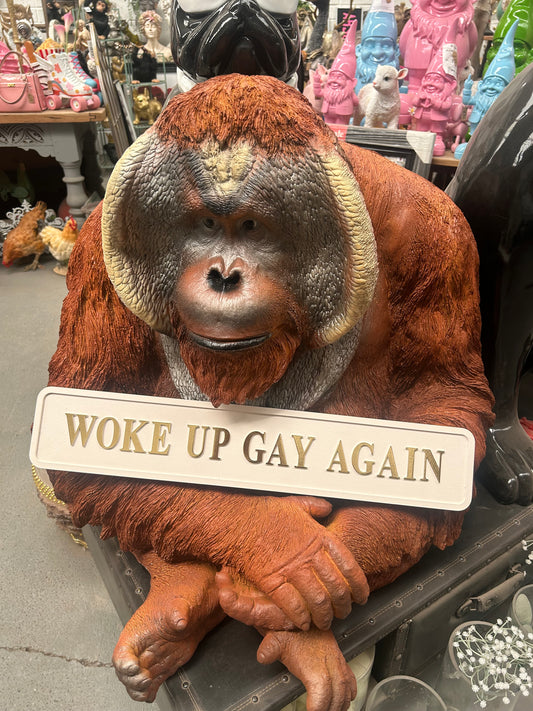 Sign ; Woke up Gay Again