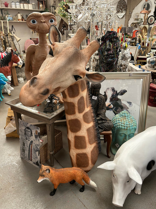 EXTRA Large Giraffe Wall Mount - Versatile Resin Giraffe Sculpture | Sign of the times Stoke