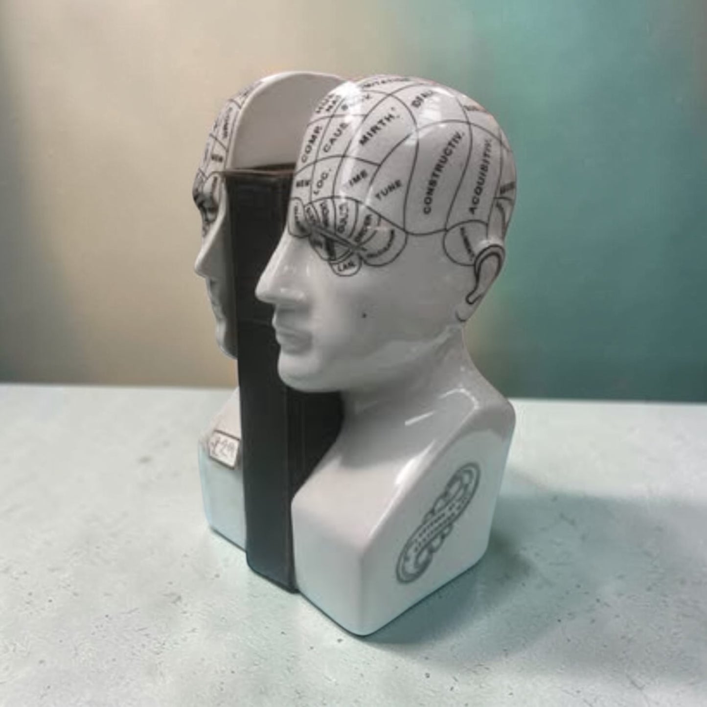 Antiqued  ceramic phrenology head bookends/ornaments