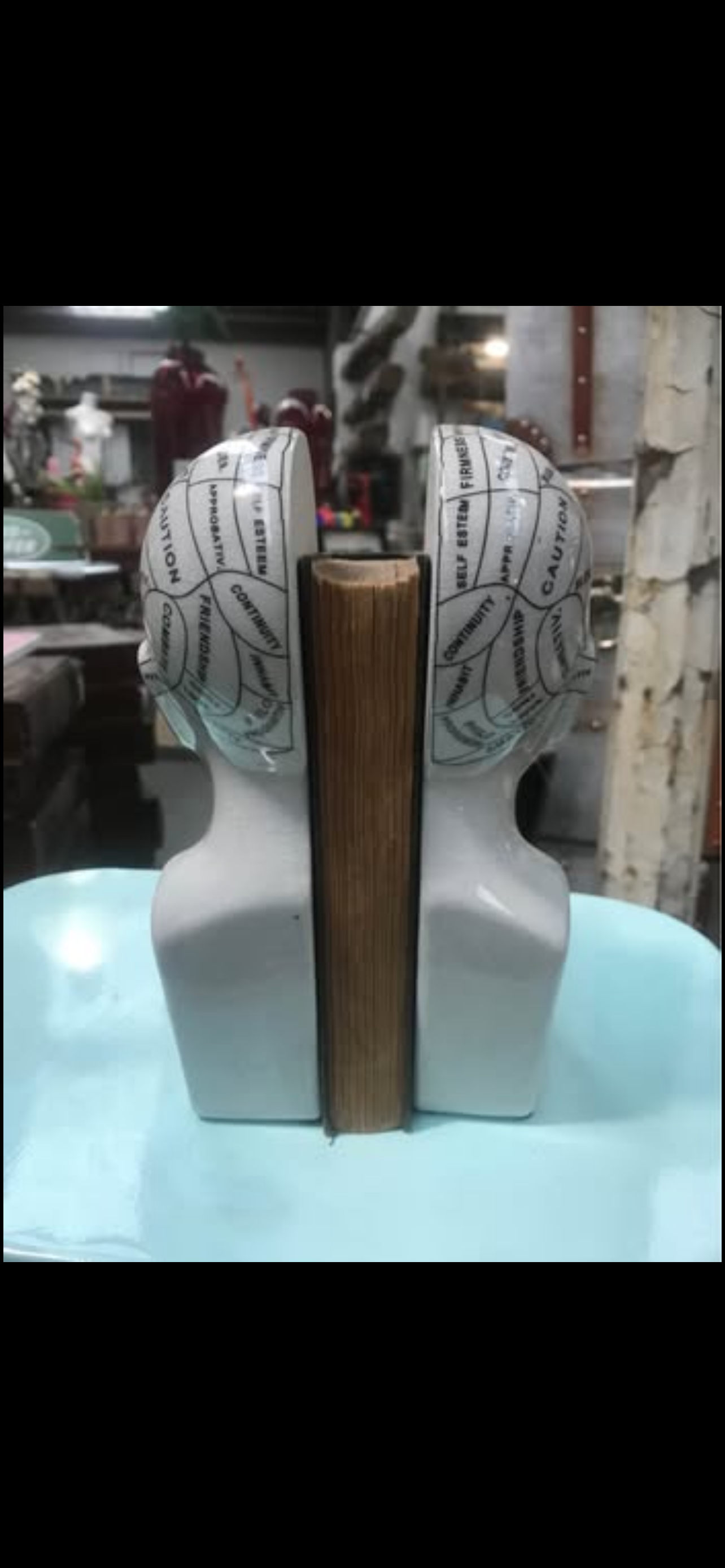 Antiqued  ceramic phrenology head bookends/ornaments