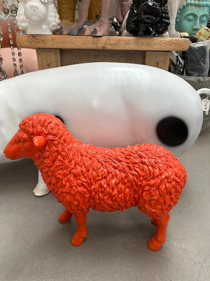 Orange Lamb