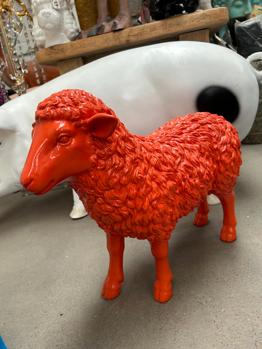 Orange Lamb
