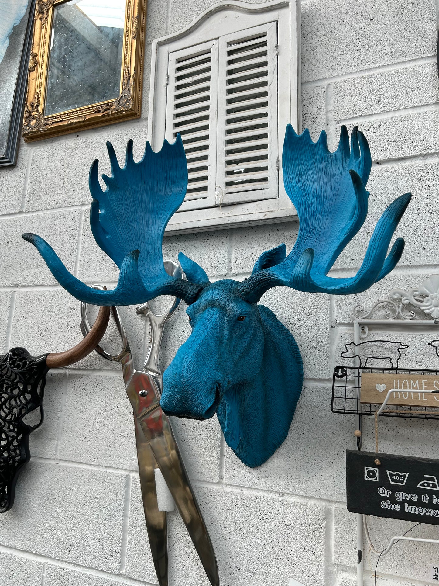 Electric Blue Moose Wall Head – Quirky Resin Wall Décor