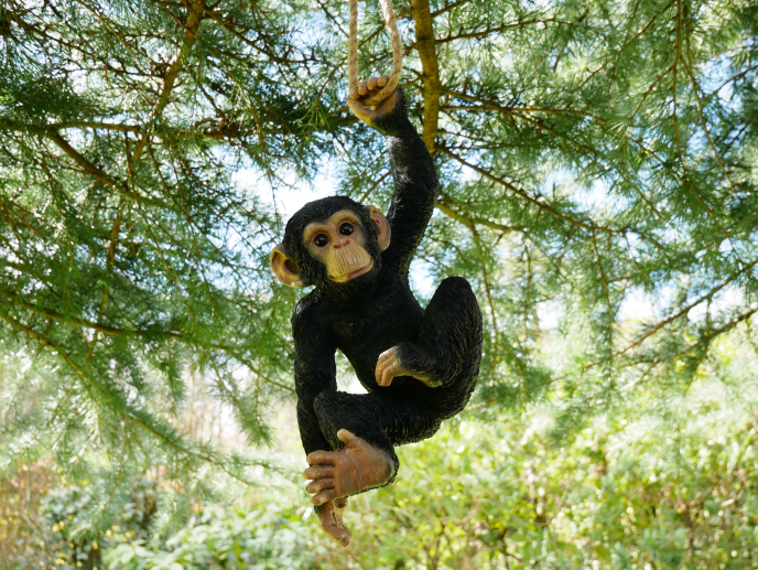 Monkey on a Rope – Playful Resin Sculpture | Sign of the times Stoke