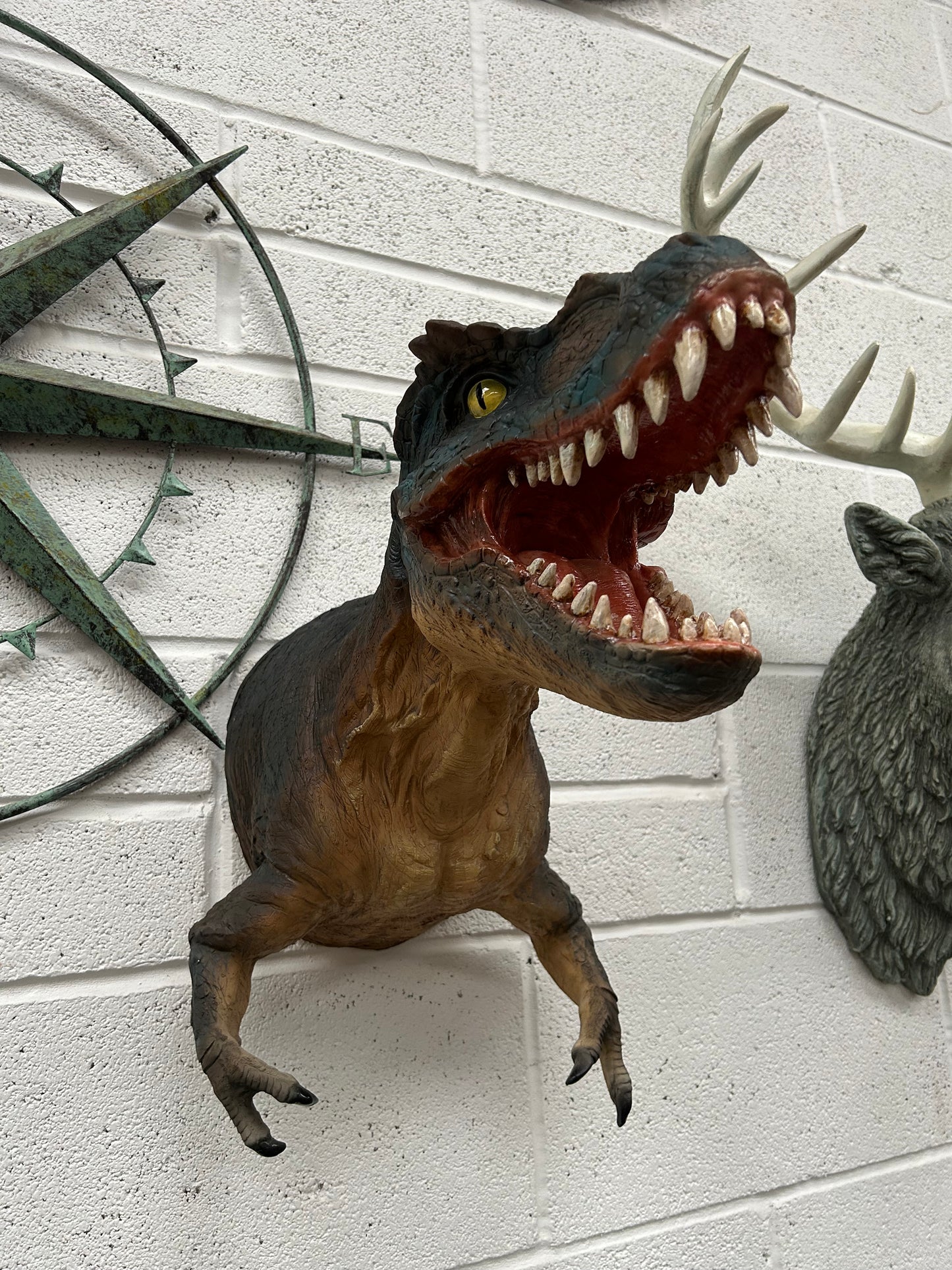 T-Rex Wall Mount – Resin Dinosaur Head with Free Shipping | Sign of the times Stoke