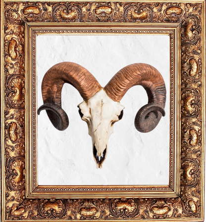 "Natural" Ram Skull Wall Head – Rustic Wall Décor with Intriguing Charm