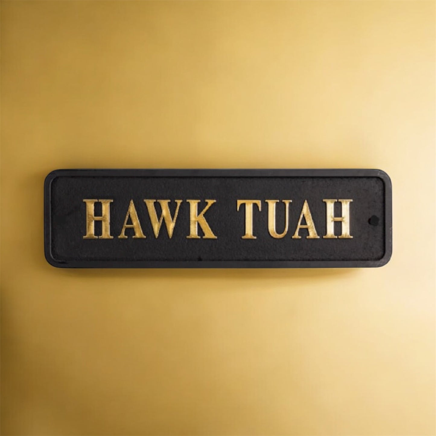 Black & Gold "Hawk Tuah" Wall Sign – Bold Quirky MDF Decor