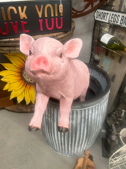 Charming Pig Sculpture – Indoor/Outdoor Decor | Sign of the times Stoke