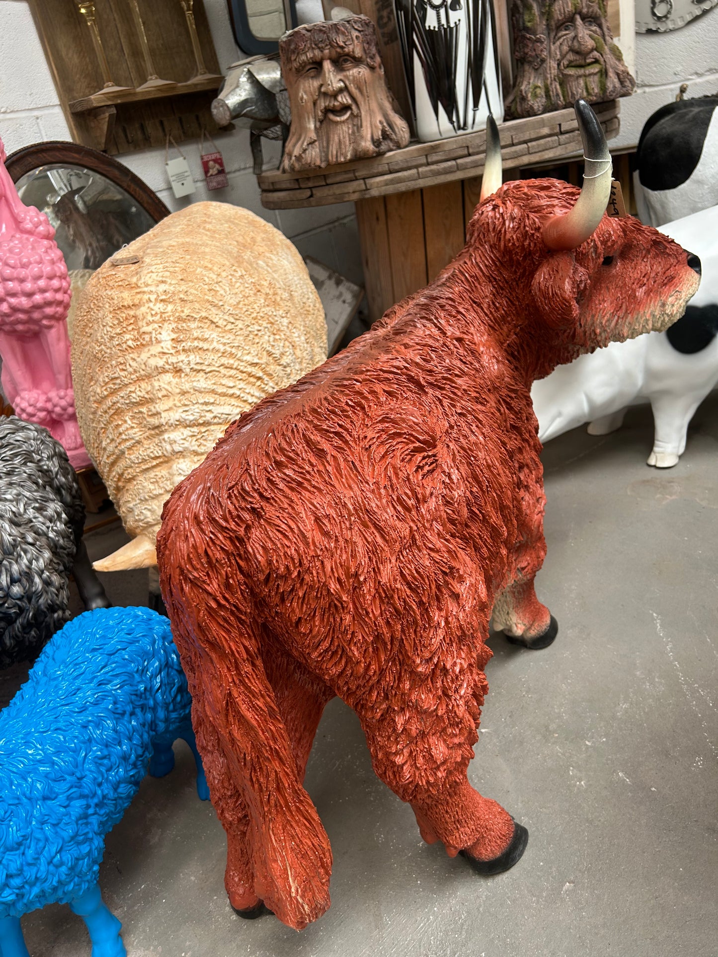 Highland Cow