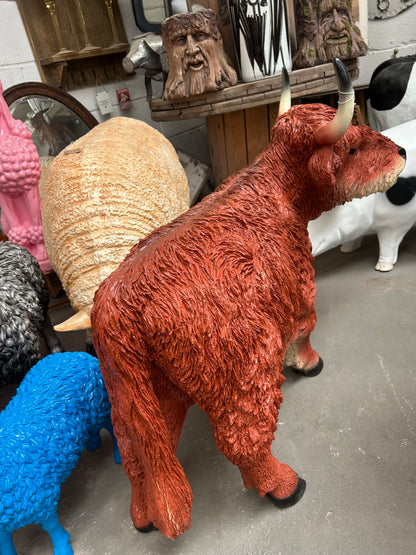 Highland Cow